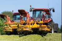 Silage verdichten 5