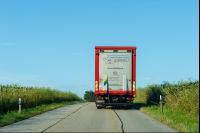Schweine Transport 5
