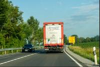 Schweine Transport 4