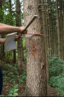 Waldschäden Vandalismus 9