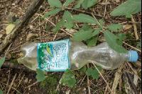 Wald Verschmutzung 1