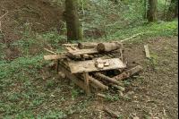 Waldschäden Vandalismus 1