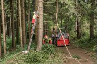 Stromleitung freischneiden 7