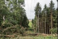 Stromleitung freischneiden 4