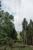 Stromleitung freischneiden 3