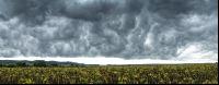 Gewitterwolken 3
