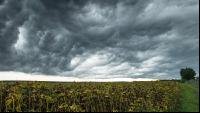 Gewitterwolken 4