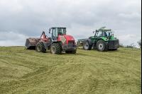Silomais Silage 90