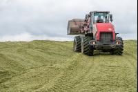 Silomais Silage 89