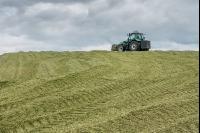 Silomais Silage 88