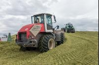 Silomais Silage 87