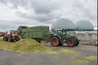 Silomais Silage 86