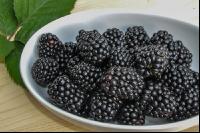 Brombeeren 6