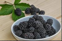 Brombeeren 7