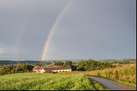Regenbogen 4