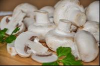 Champignon 1