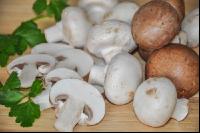 Champignon 2