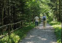 Wandern 17