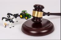 Versteigerung Landwirtschaft 12