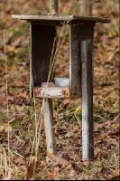 Salzlecke für Rehe 1