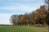 Treibjagd auf Feldern 1