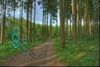 Wegerecht im Wald