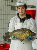 Schuppenkarpfen 3