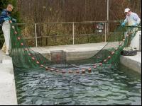 Aquakultur 2