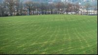 Bodenverdichtung Gerstenfeld 1