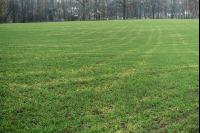 Bodenverdichtung Gerstenfeld 3