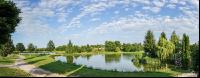 Fischteich 4
