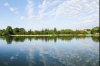 Fischteich 5