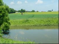 Fischteich 3