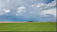 Wolkenstimmungen im April 8
