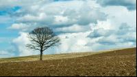 Wolkenstimmungen im April 4