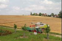 Gerste Ernte J 87
