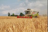 Gerste Ernte J 85