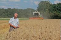 Roggen Ernte J 9