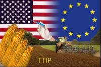 TTIP 1