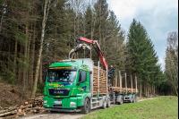 Schleifholz aufladen 1