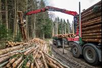 Schleifholz aufladen 2
