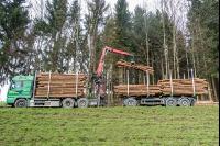 Schleifholz aufladen 5