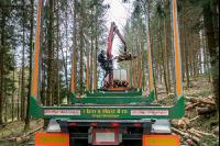 Schleifholz aufladen 8