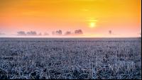 Morgenrot und Frost 1