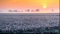 Morgenrot und Frost 2