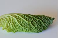 Kohlblatt 3