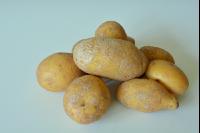 Silberschorf 2