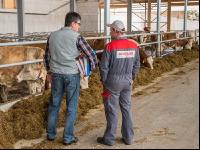 Beratung im Milchviehstall 5