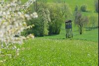 Hochstand 16