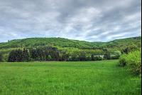 Buchenwald 27